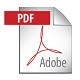 pdf icon 1